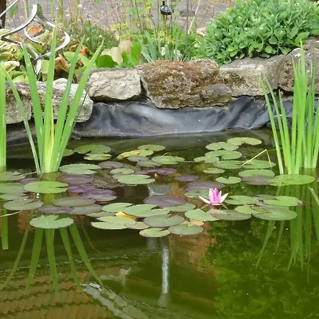 Ubytování v soukromí Und Gaestehaus Paffrath